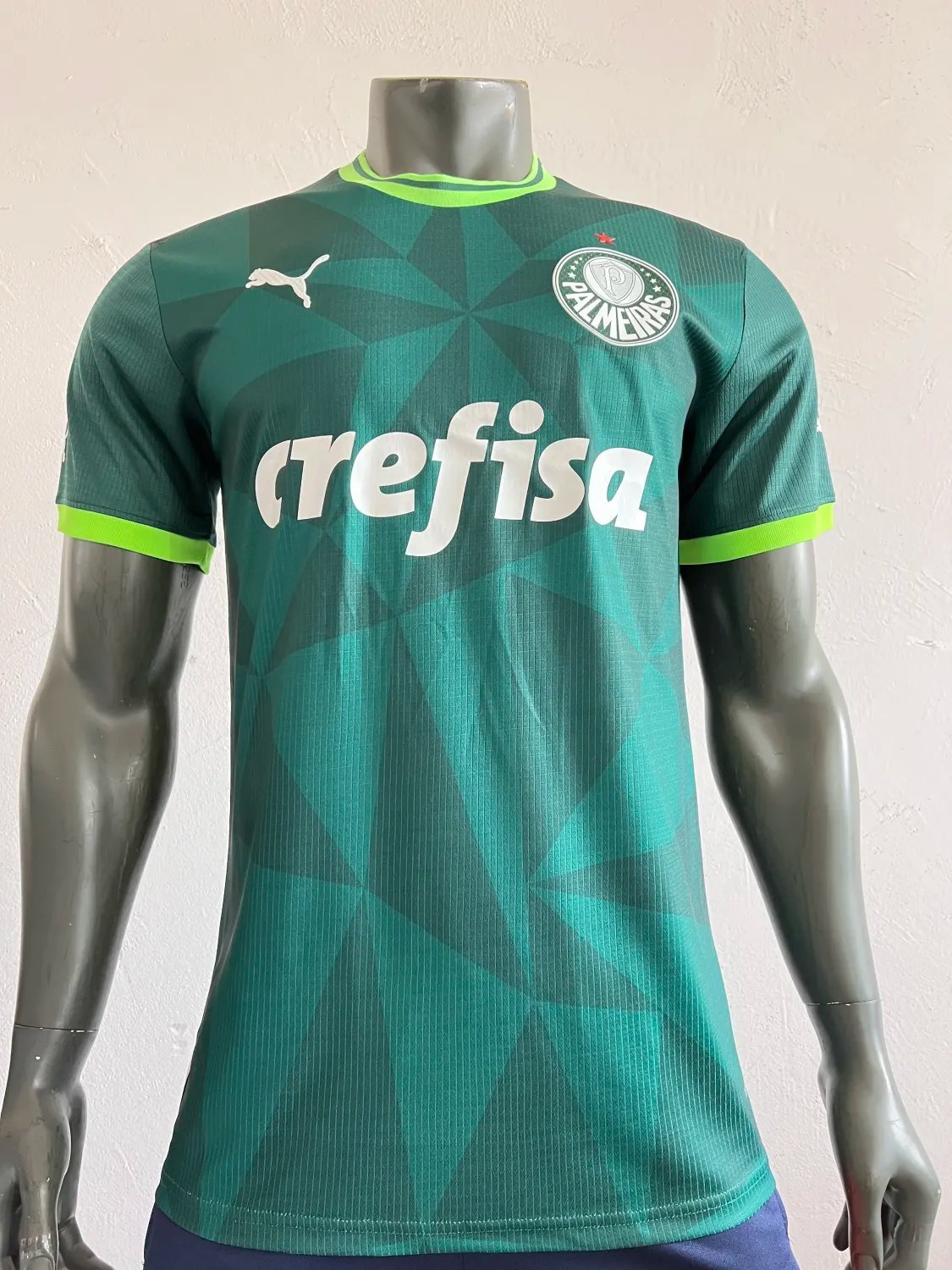 23-24 Palmeiras Home Player Version
