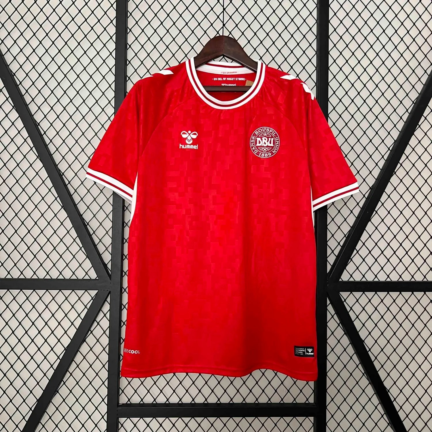 2024 Denmark Home Fan Version 