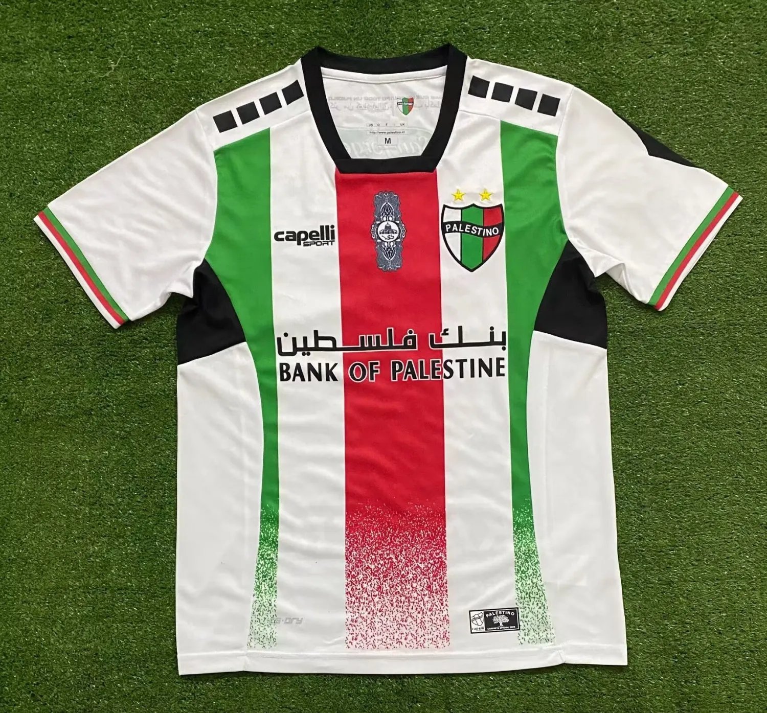 24-25 Palestino Deportivo Home Fan Version 