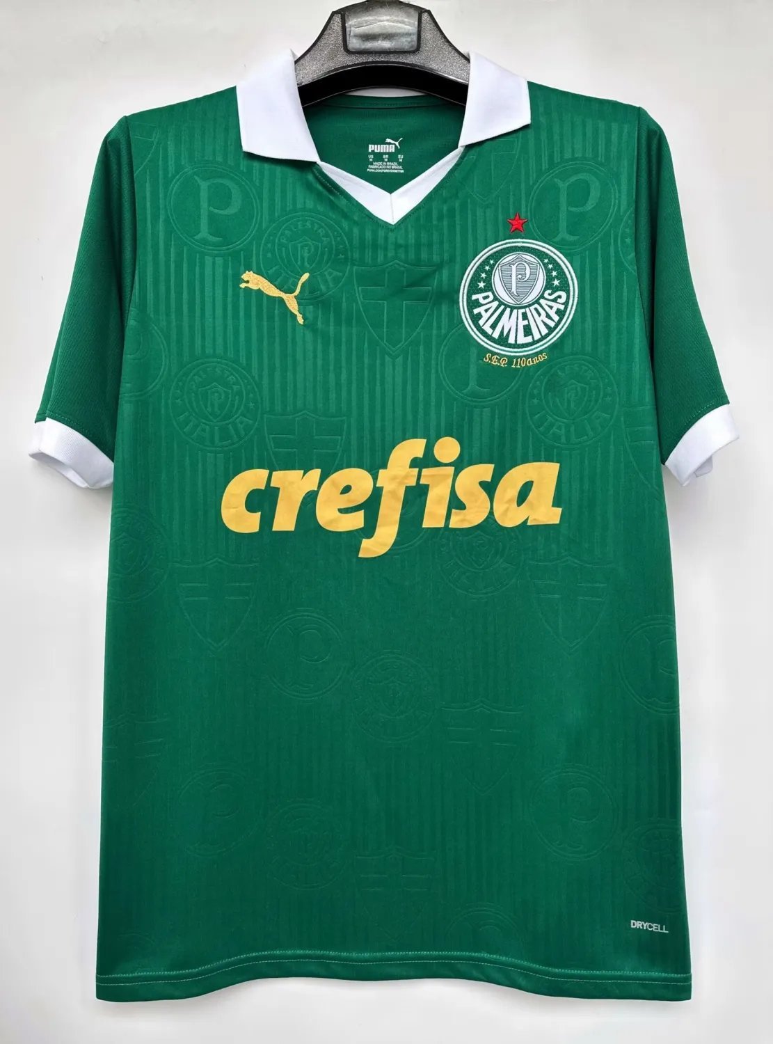24-25 Palmeiras Home Fan Version 