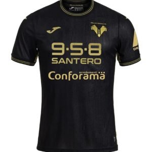 24-25 Verona Third Fan Version