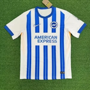 24-25 Brighton Home Fan Version