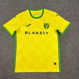 24-25 Norwich City Home Fan Version
