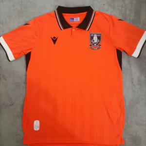 24-25 Sheffield Wednesday Away Fan Version