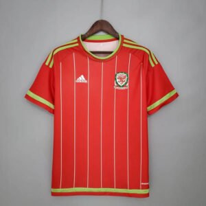 15-16 Wales Home Retro 