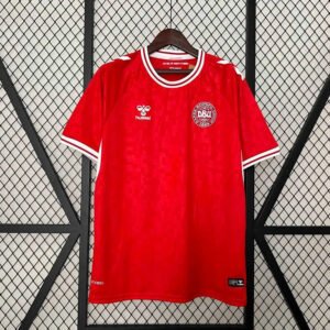 2024 Denmark Home Fan Version 