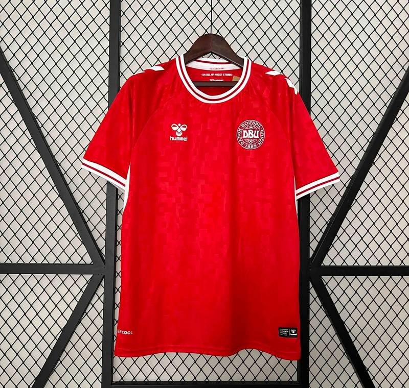 2024 Denmark Home Fan Version