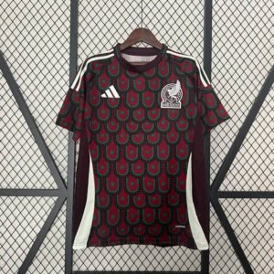 2024 Mexico Home Fan Version