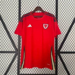 2024 Wales Home Fan Version 