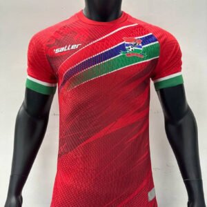 23-24 Gambia Africa Cup Home Player Version