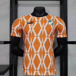 23-24 Ivory Coast Home Player Version