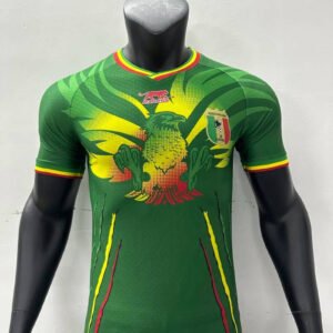 23-24 Mali Africa Cup Away Player Version