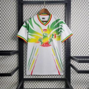 23-24 Mali Africa Cup Home Fan Version 