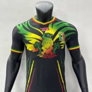 23-24 Mali Africa Cup Third Player Version