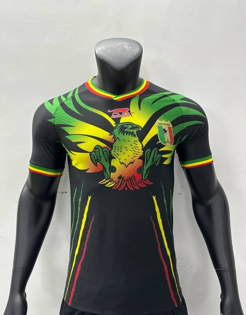 23-24 Mali Africa Cup Third Player Version