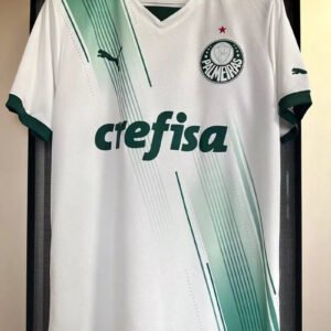 23-24 Palmeiras Away Fan Version 