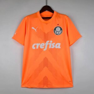 23-24 Palmeiras Goalkeeper Fan Version 