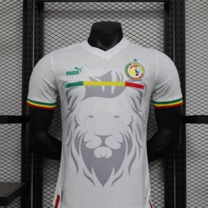 23-24 Senegal Player Version