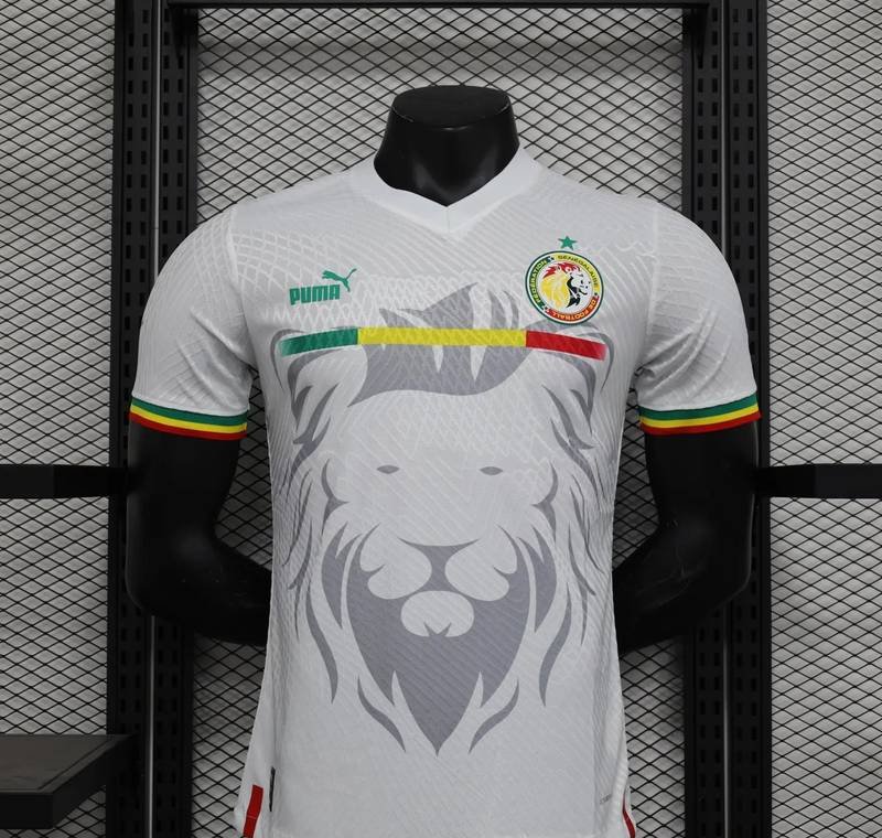 23-24 Senegal Player Version
