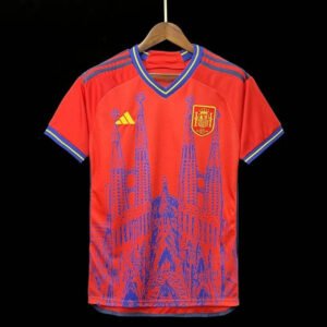23-24 Spain City Edition Fan Version