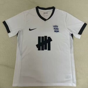 24-25 Birmingham City Away Fan Version