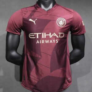 24-25 Manchester City Third Player Version