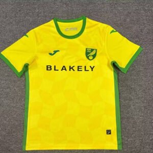24-25 Norwich City Home Fan Version