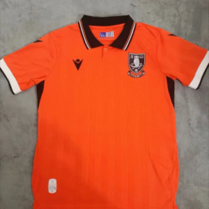 24-25 Sheffield Wednesday Away Fan Version