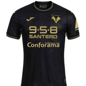 24-25 Verona Third Fan Version